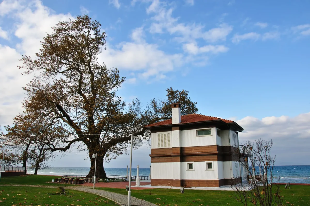 Okaytaş Merkez & Fabrika